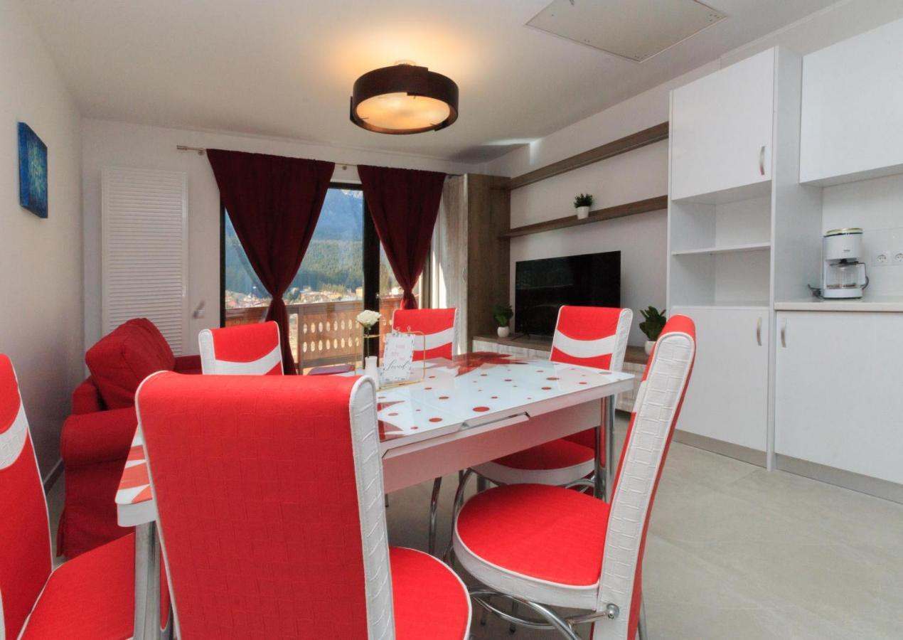 Stars & Mountain Apartment Buşteni Buitenkant foto