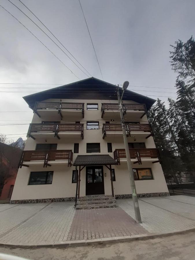 Stars & Mountain Apartment Buşteni Buitenkant foto